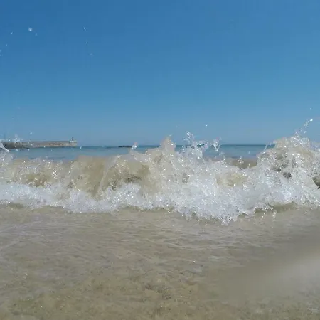 Casa De Flores - Con Jardin Privado Frente A La Playa De *