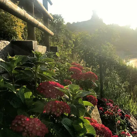 Casa De Flores - Con Jardin Privado Frente A La Playa De * Comillas