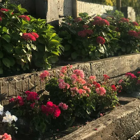 Casa De Flores - Con Jardin Privado Frente A La Playa De Apartmán *