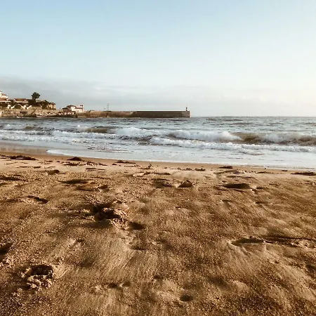 Casa De Flores - Con Jardin Privado Frente A La Playa De