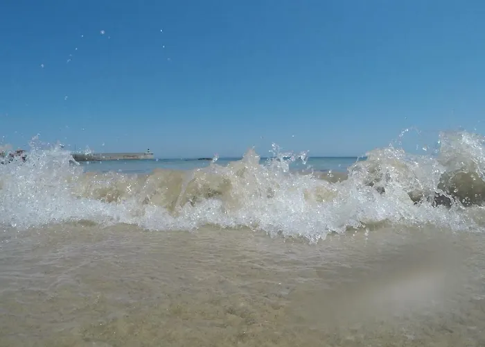 Casa De Flores - Con Jardin Privado Frente A La Playa De *