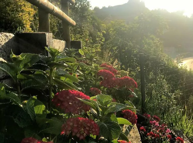 Casa De Flores - Con Jardin Privado Frente A La Playa De * Comillas