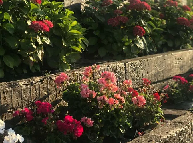 Casa De Flores - Con Jardin Privado Frente A La Playa De Apartment *