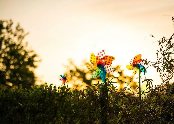 Casa De Flores - Con Jardin Privado Frente A La Playa De 柯米拉斯